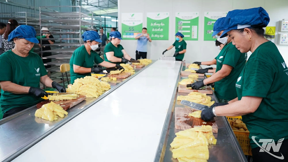 Xưởng sản xuất được đầu tư theo tiêu chuẩn quốc tế HACCP của HTX chế biến nông sản Võ Nhai.