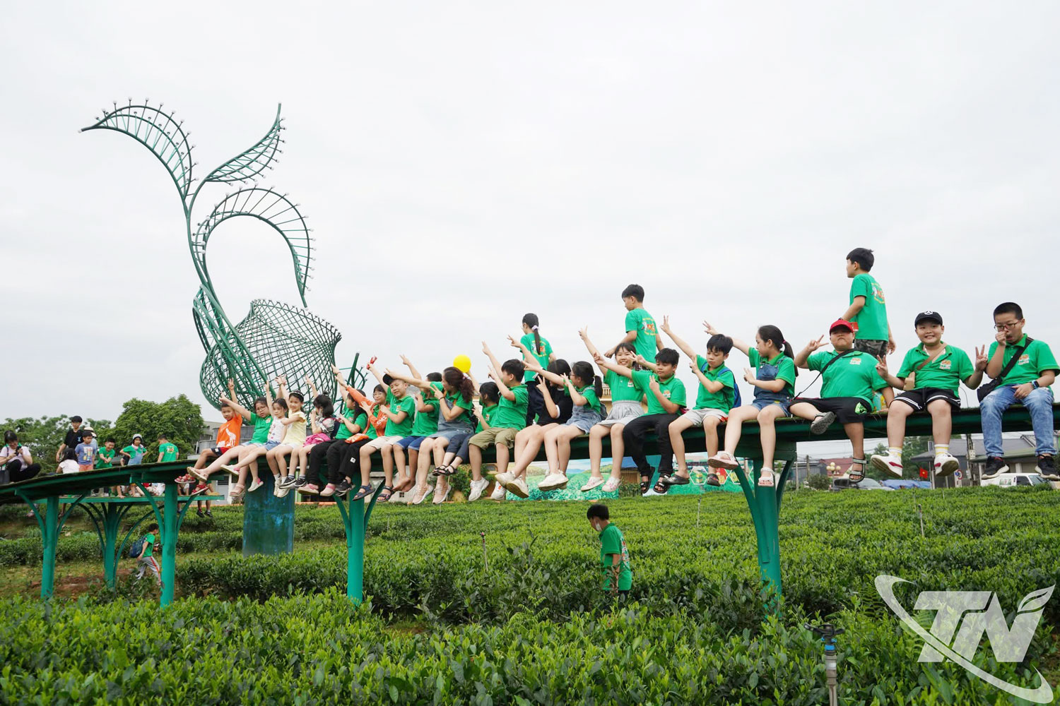 Hợp tác xã chè Hảo Đạt đầu tư chỉnh trang cảnh quan, tạo các điểm check-in hấp dẫn trên những đồi chè.