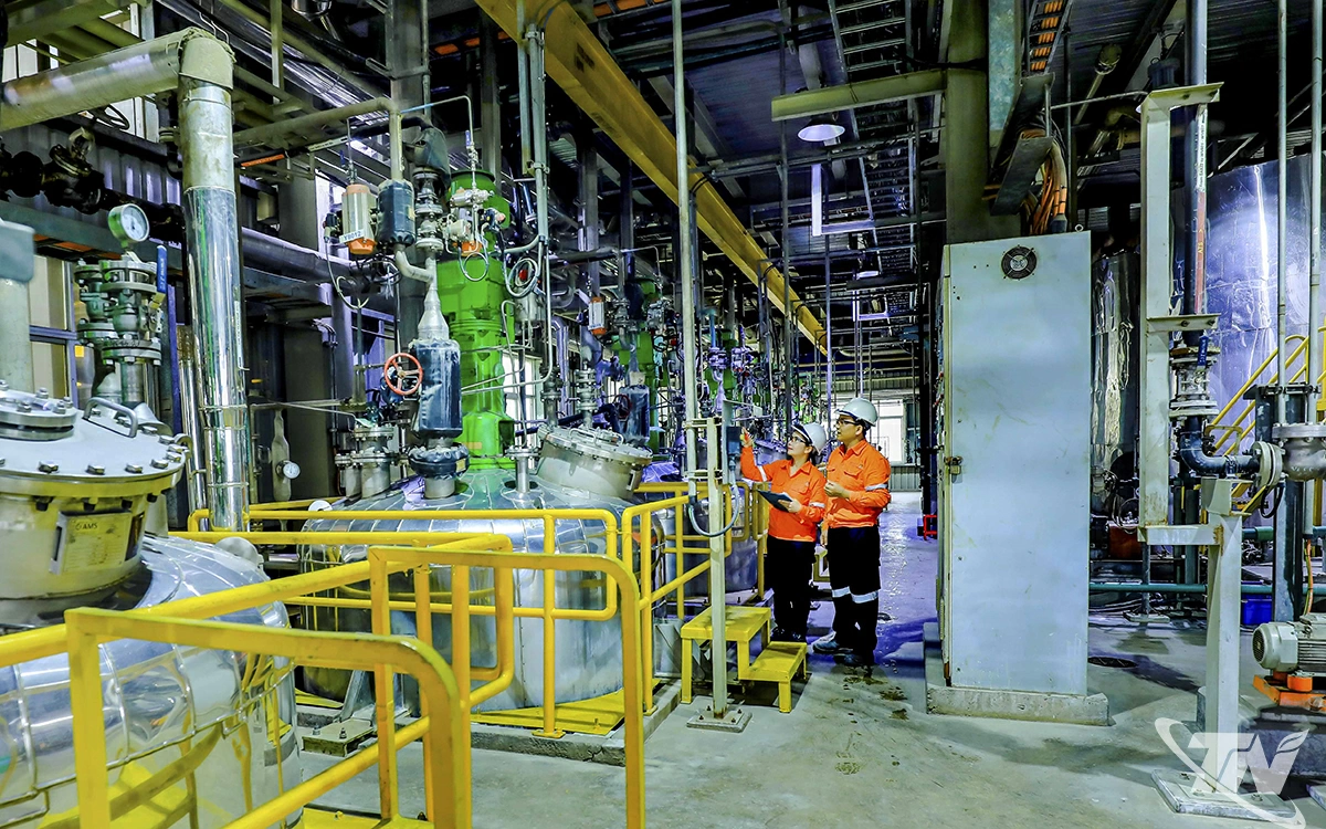 MHT sản xuất các sản phẩm Vonfram có độ tinh khiết cao và sức cạnh tranh trên toàn cầu.