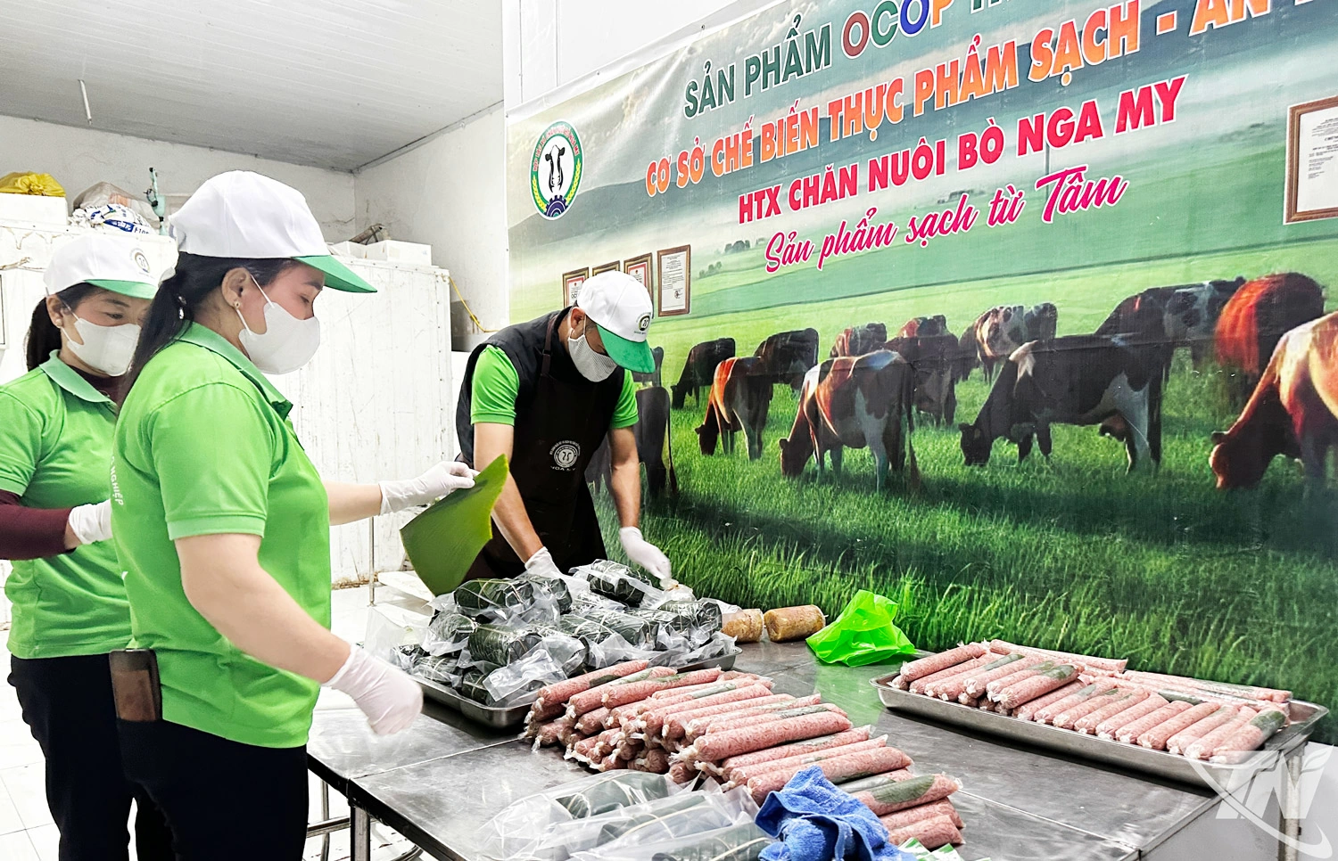 Chăn nuôi theo chuỗi khép kín từ chuồng trại đến sản xuất, chế biến sản phẩm cung cấp cho người tiêu dùng   là định hướng chiến lược của tỉnh, góp phần nâng cao giá trị sản xuất. Trong ảnh: Chế biến sản phẩm tại HTX   chăn nuôi bò Nga My, xã Điềm Thuỵ.