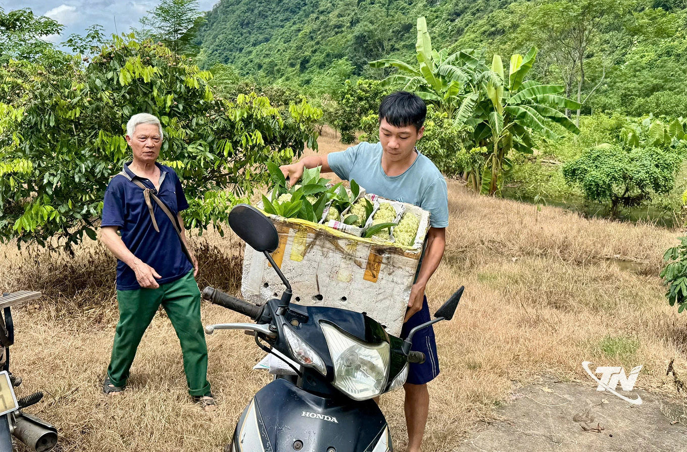Đưa na về phố.