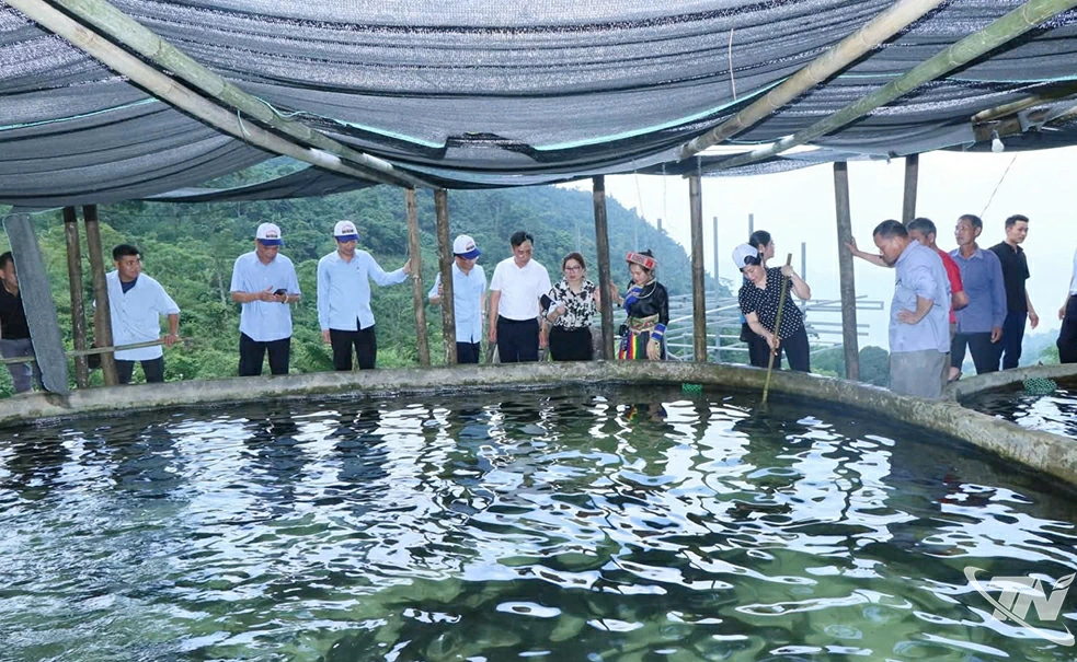 Du khách tham quan mô hình nuôi cá tầm, cá hồi của anh Đặng Hành Dũng.