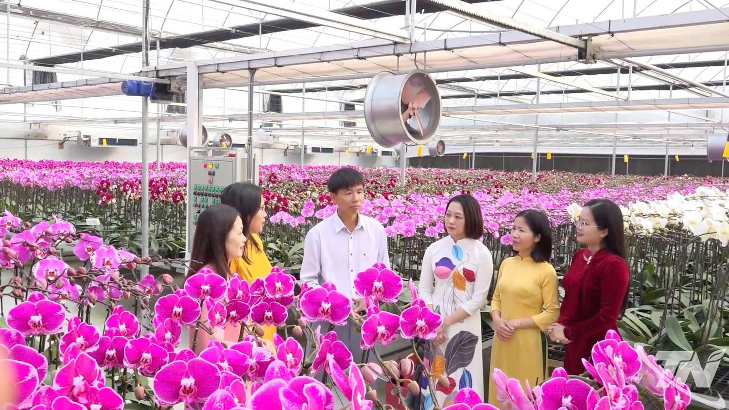 Vườn hoa lan hồ điệp của gia đình anh Đinh Xuân Lợi, tổ dân phố 1, phường Sông Công thu hút đông khách đến tham quan, đặt mua.