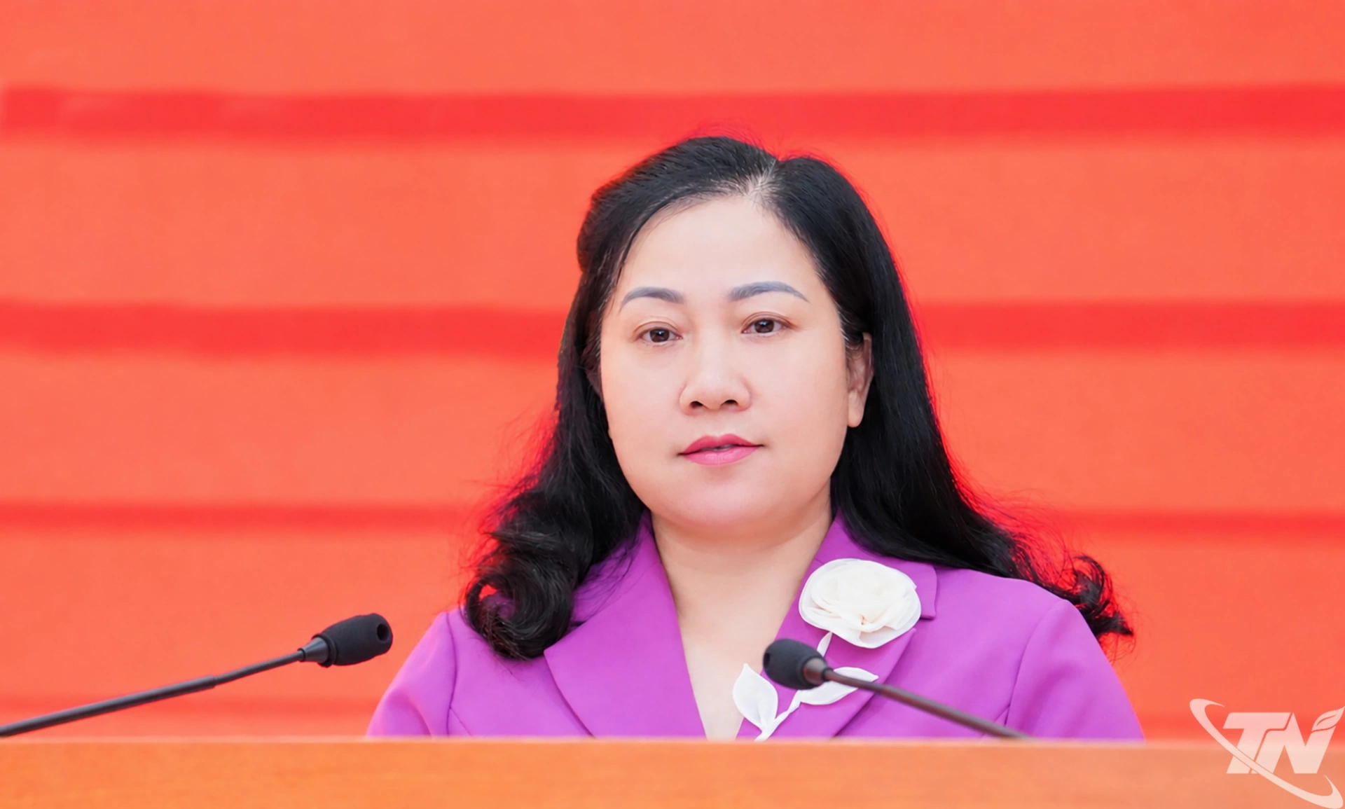 Đồng chí Đỗ Thị Minh Hoa, Ủy viên Ban Thường vụ Tỉnh ủy, Trưởng Ban Tuyên giáo và Dân vận Tỉnh ủy phát biểu tại Hội nghị.