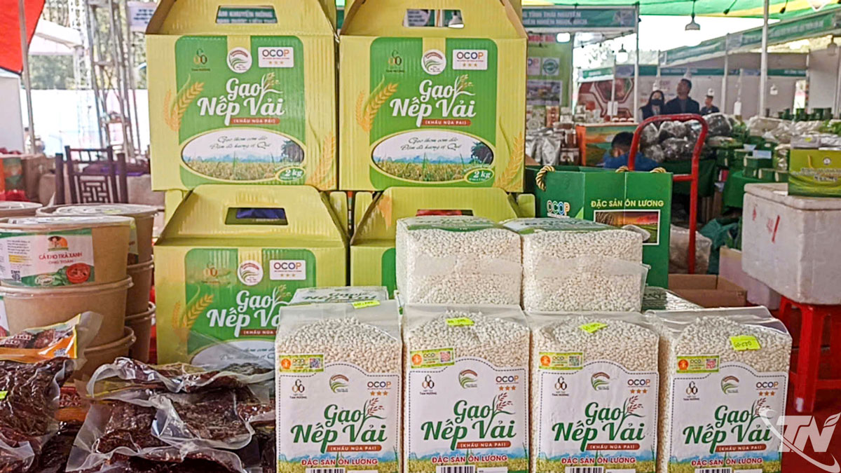 Sản phẩm nếp vải Ôn Lương đã được công nhận sản phẩm OCOP từ nhiều năm nay, được người tiêu dùng ưa chuộng, nhất là trong dịp Tết Nguyên đán hằng năm.