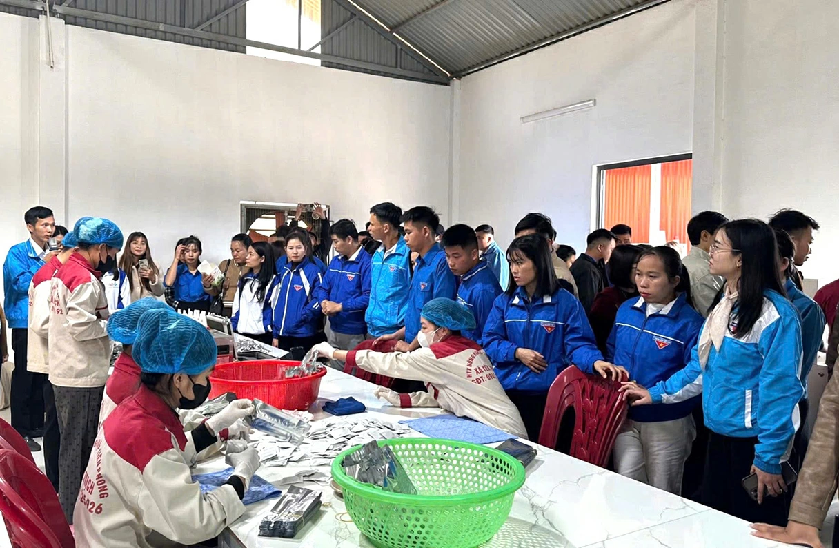 HTX Nông nghiệp Tiên Phong (xã Yên Trạch) là một trong những mô hình kinh tế tiêu biểu, thu hút nhiều đoàn viên, thanh niên đến tham quan, học tập kinh nghiệm.