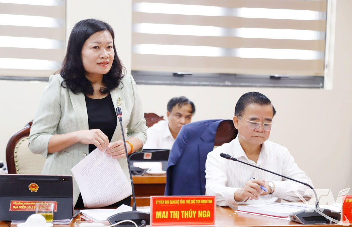 Phó Chủ tịch HĐND tỉnh Mai Thị Thúy Nga phát biểu tại Phiên họp.