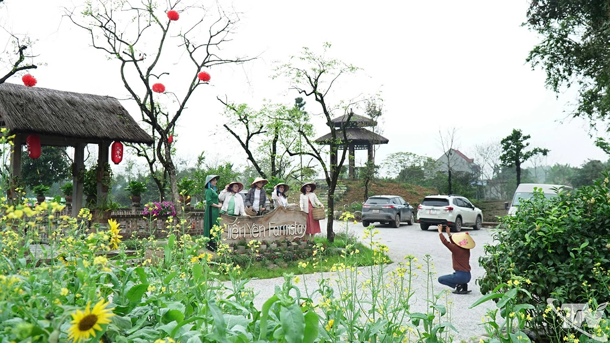 Không gian xanh tại Hợp tác xã Trà và Du lịch cộng đồng Tiến Yên - điểm đến trải nghiệm văn hóa, du lịch sinh thái. Ảnh: Kim ngân