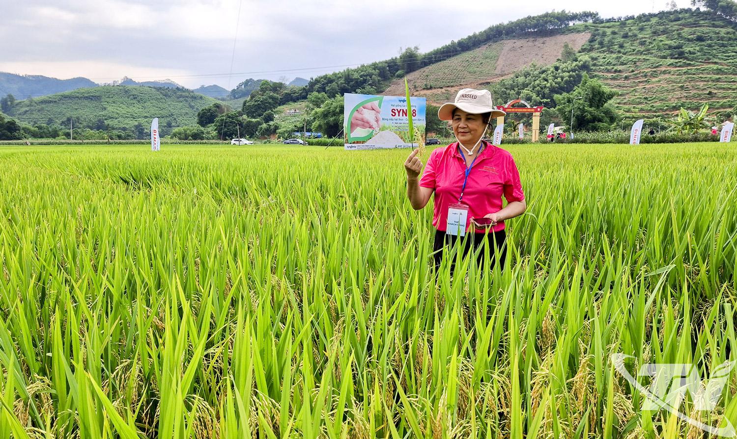 Sản xuất thử nghiệm các giống lúa mới, năng suất, chất lượng và nhân ra diện rộng giúp sản lượng lương thực của Thái Nguyên luôn ổn định.