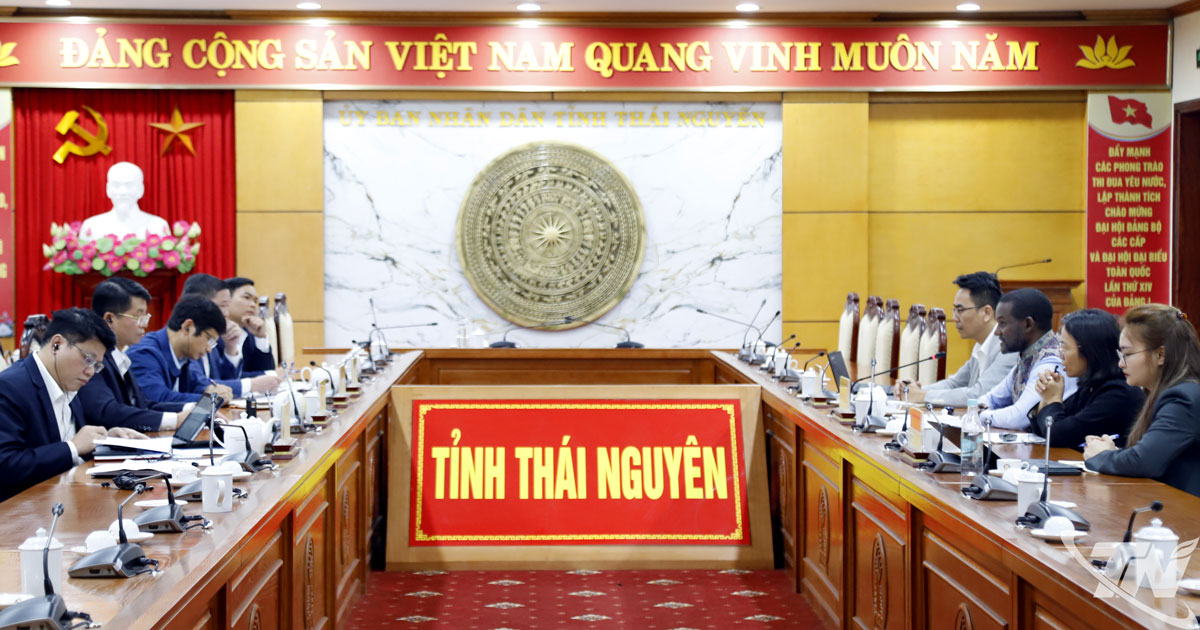 Toàn cảnh buổi tiếp của Lãnh đạo UBND tỉnh với Quỹ phát triển nông nghiệp quốc tế IFAD.