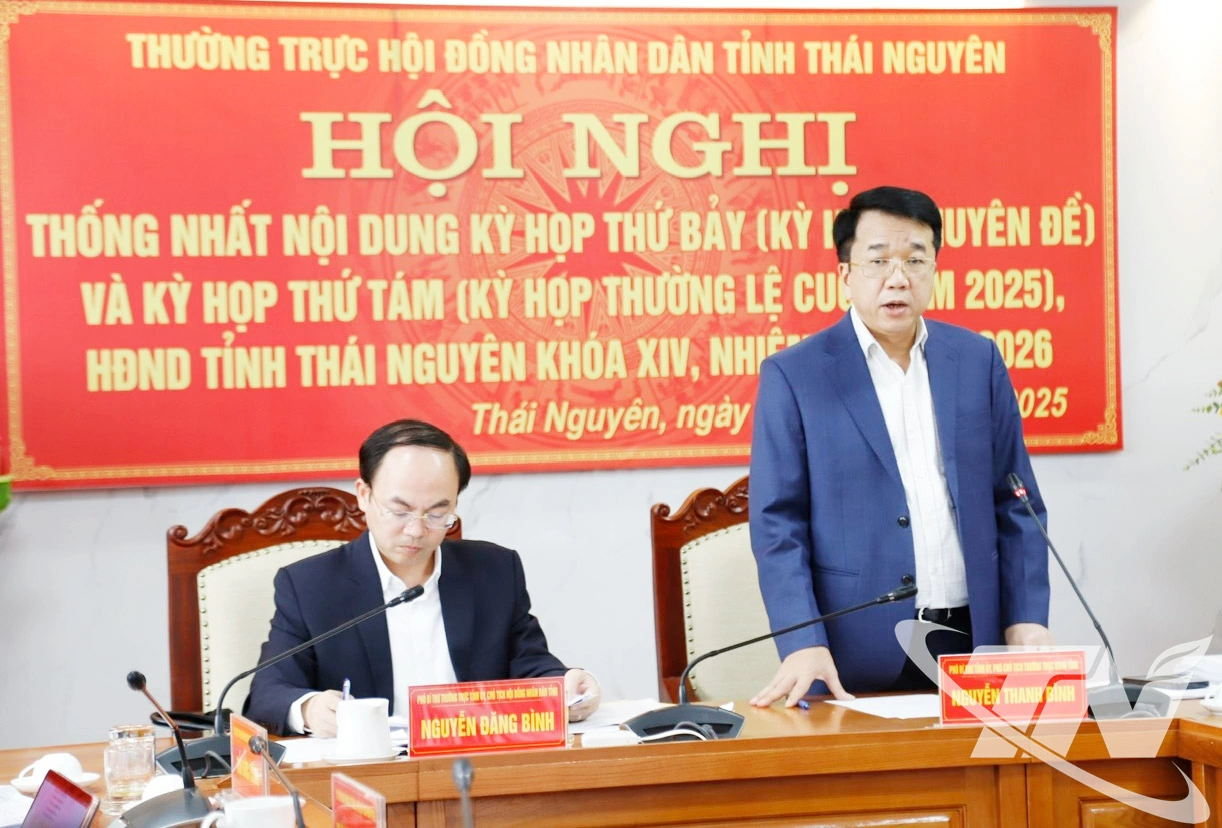 Đồng chí Nguyễn Thanh Bình, Phó Bí thư Tỉnh ủy, Phó Chủ tịch Thường trực UBND tỉnh chỉ đạo các sở, ngành phối hợp với các ban của HĐND tỉnh chuẩn bị các nội dung liên quan.