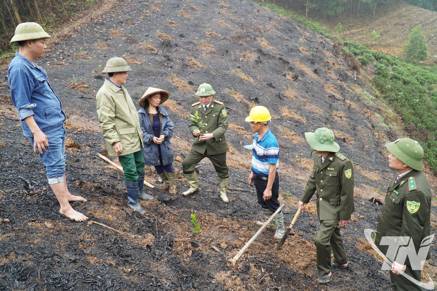Người dân chủ động chuẩn bị cây giống, vật tư và mặt bằng, sẵn sàng triển khai trồng rừng ngay từ những ngày đầu năm.