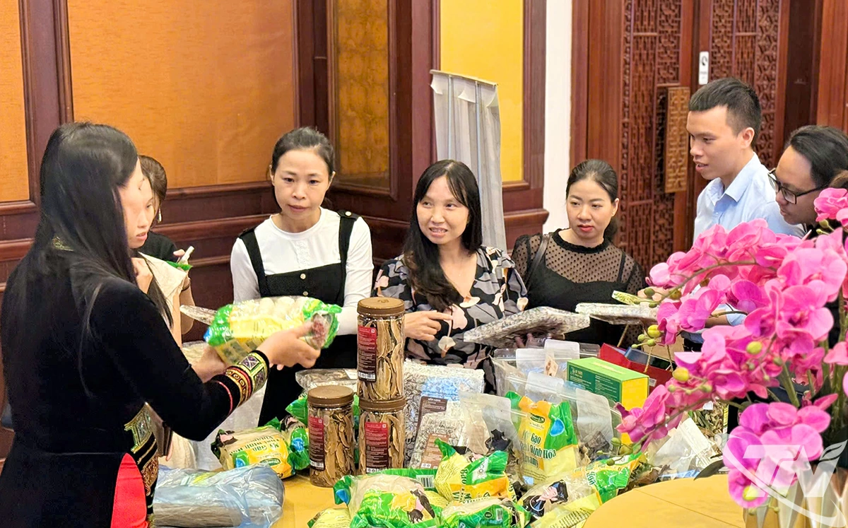 các sản phẩm OCOP của Thái Nguyên được đại biểu quan tâm