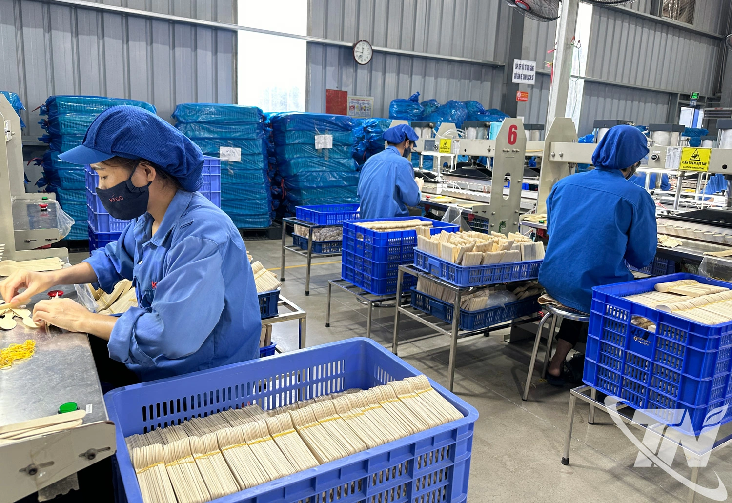 Khi gỗ rừng trồng có nguồn gốc xuất xứ và có chứng nhận FSC mới có thể xuất khẩu ra các thị trường châu Âu, giá trị kinh tế cao hơn.