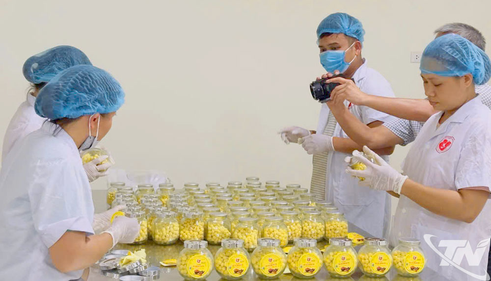 HTX Nông nghiệp công nghệ cao BK FOODS sản xuất tinh bột nghệ