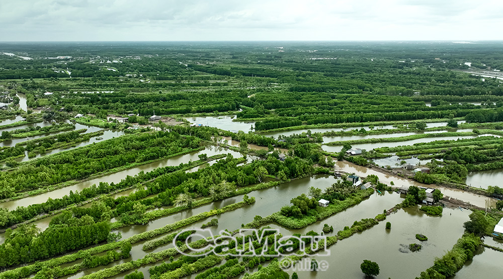 Dự &aacute;n cao tốc C&agrave; Mau - Đất Mũi, ho&agrave;n th&agrave;nh sẽ từng bước h&igrave;nh th&agrave;nh cực tăng trưởng mới đưa C&agrave; Mau trở th&agrave;nh &ldquo;lục địa cực Nam&rdquo; của đất nước.