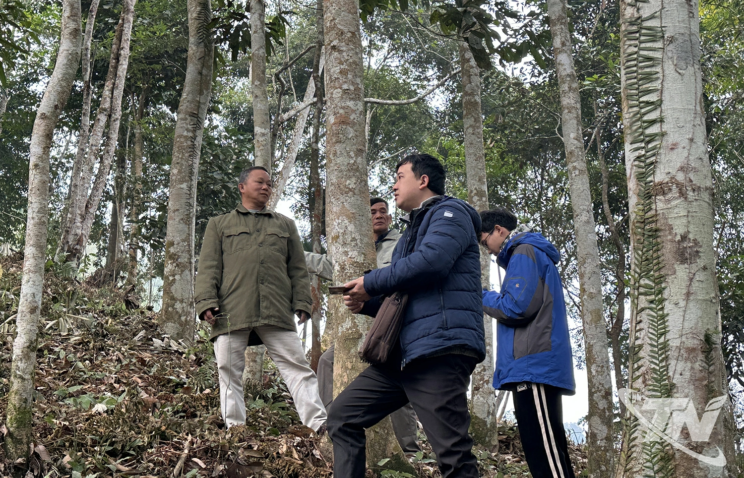 Công ty TNHH Kẻ Gỗ đã phối hợp với xã Nghĩa Tá và Yên Phong triển khai mô hình hơn 4.200ha rừng   với gần 1.750 chủ rừng được cấp chứng chỉ quản lý rừng bền vững FSC.  