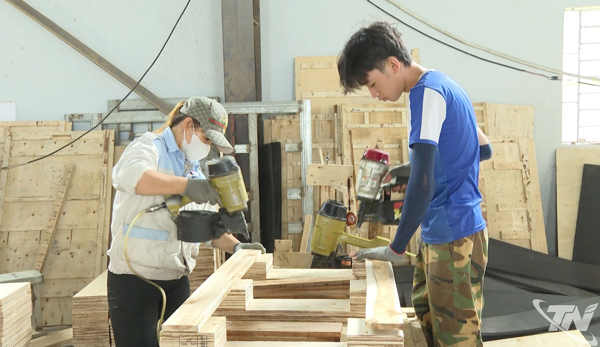 Chứng chỉ FSC - Tấm vé để gỗ rừng trồng được chế biến, xuất khẩu