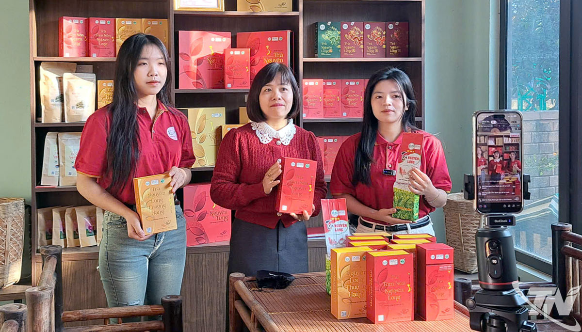 C&ugrave;ng với b&aacute;n tr&agrave; truyền thống, HTX tr&agrave; Nguy&ecirc;n Long đẩy mạnh khai th&aacute;c c&aacute;c nền tảng số để quảng b&aacute; v&agrave; n&acirc;ng cao doanh thu b&aacute;n sản phẩm.