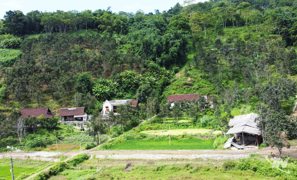 Khu vực trồng cây hồng không hạt thuộc thôn Bản Ngù, xã Chợ Rã đang tiếp tục được các hộ dân mở rộng diện tích trồng trên các sườn đồi.