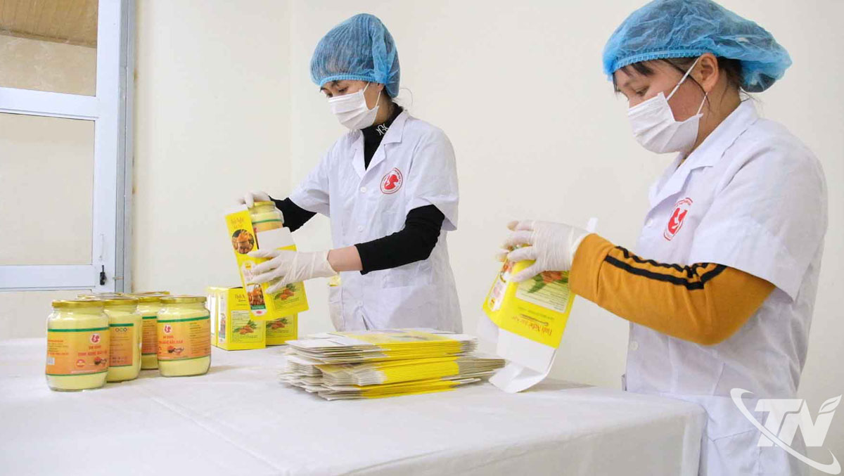 Sản phẩm Tinh nghệ Bắc Kạn đạt nhiều chứng nhận trong nước và quốc tế