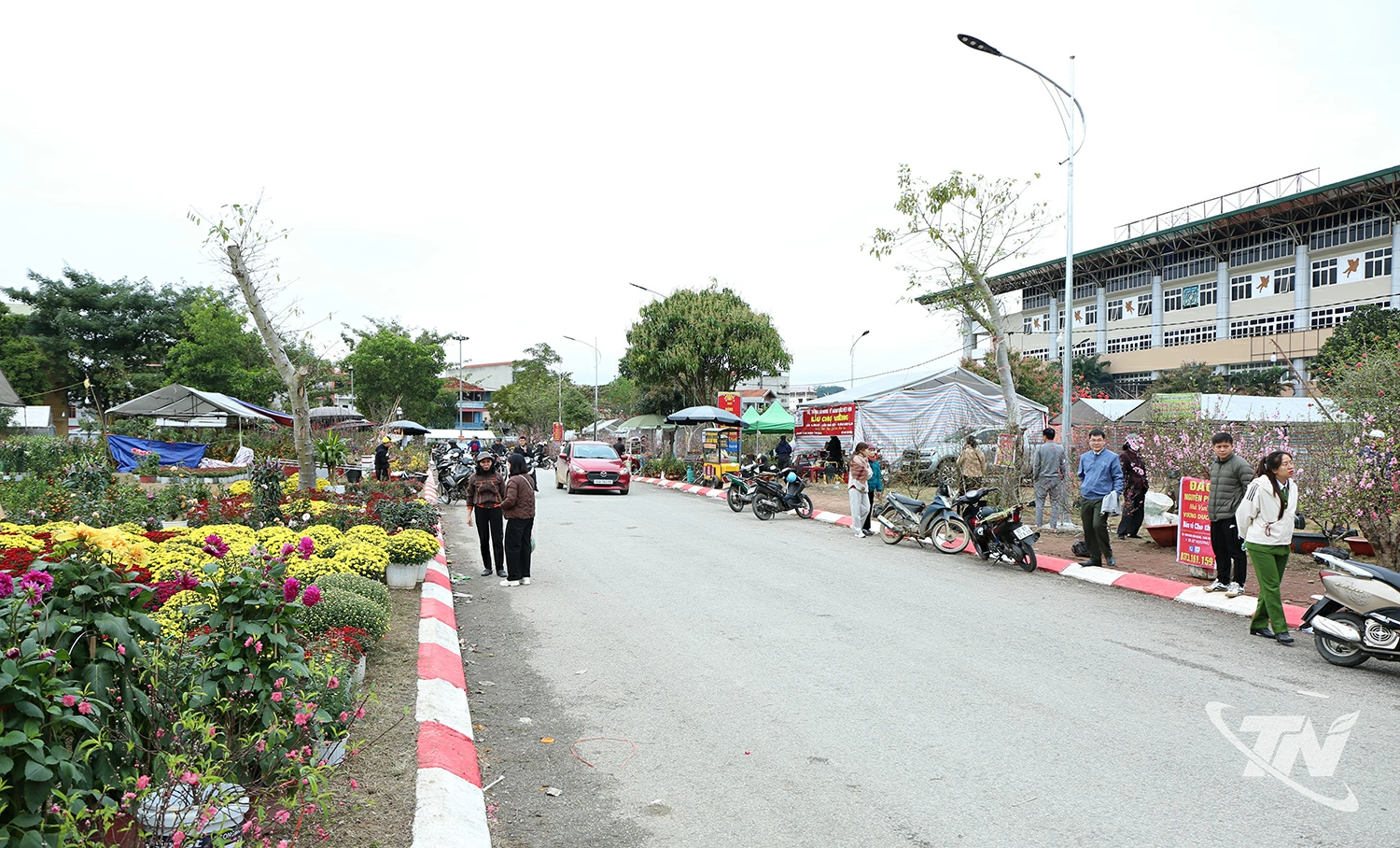 sôi động chợ hoa, cây cảnh ở phường Đức Xuân.