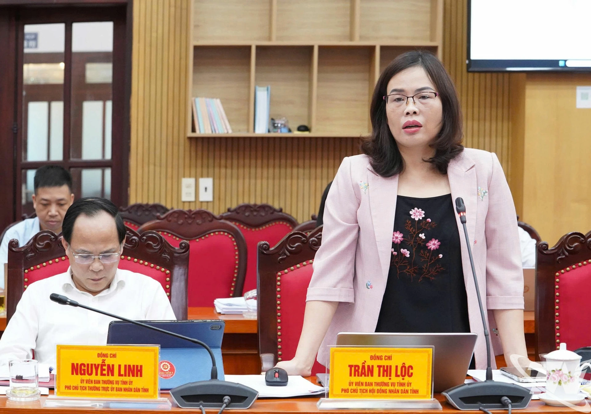 Đồng chí Phó Chủ tịch HĐND tỉnh Trần Thị Lộc phát biểu.