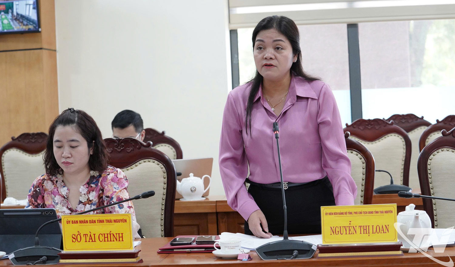 Đồng chí Nguyễn Thị Loan, Phó Chủ tịch UBND tỉnh,  phát biểu tại Hội nghị