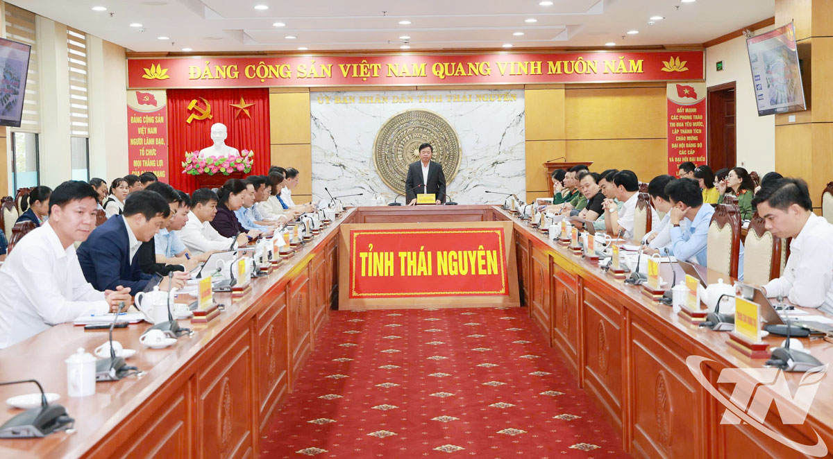 Các đại biểu tham dự cuộc họp.