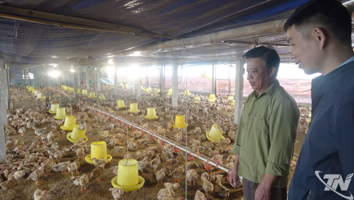 Chủ tịch Hội N&ocirc;ng d&acirc;n phường Linh Sơn (b&ecirc;n phải) thăm m&ocirc; h&igrave;nh chăn nu&ocirc;i g&agrave; của gia đ&igrave;nh &ocirc;ng Nguyễn Văn Nghị.