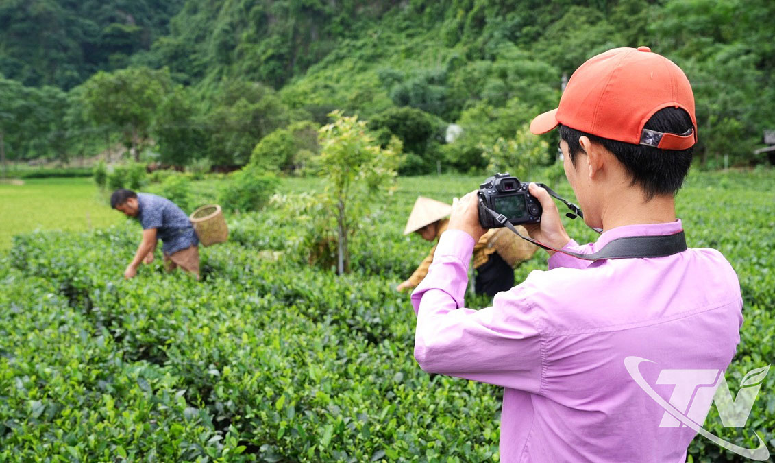 Th&agrave;nh vi&ecirc;n HTX tr&agrave; an to&agrave;n Ph&uacute; Đ&ocirc; (x&atilde; V&ocirc; Tranh) chụp ảnh minh chứng về quy tr&igrave;nh sản xuất ch&egrave; an to&agrave;n, ứng dụng phần mềm nhật k&yacute; sản xuất điện tử FaceFarm trong qu&aacute; tr&igrave;nh chăm s&oacute;c, thu h&aacute;i, chế biến ch&egrave;.