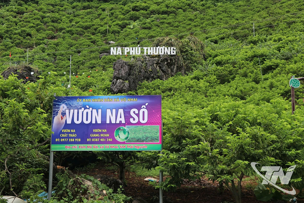 Vườn na số ở V&otilde; Nhai