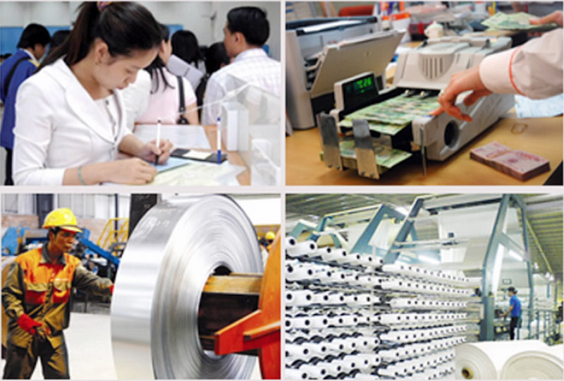 Thực hiện tổng điều tra kinh tế từ 5/1/2026.