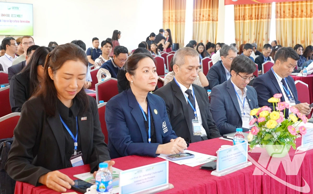 Các đại biểu tham dự Hội nghị.