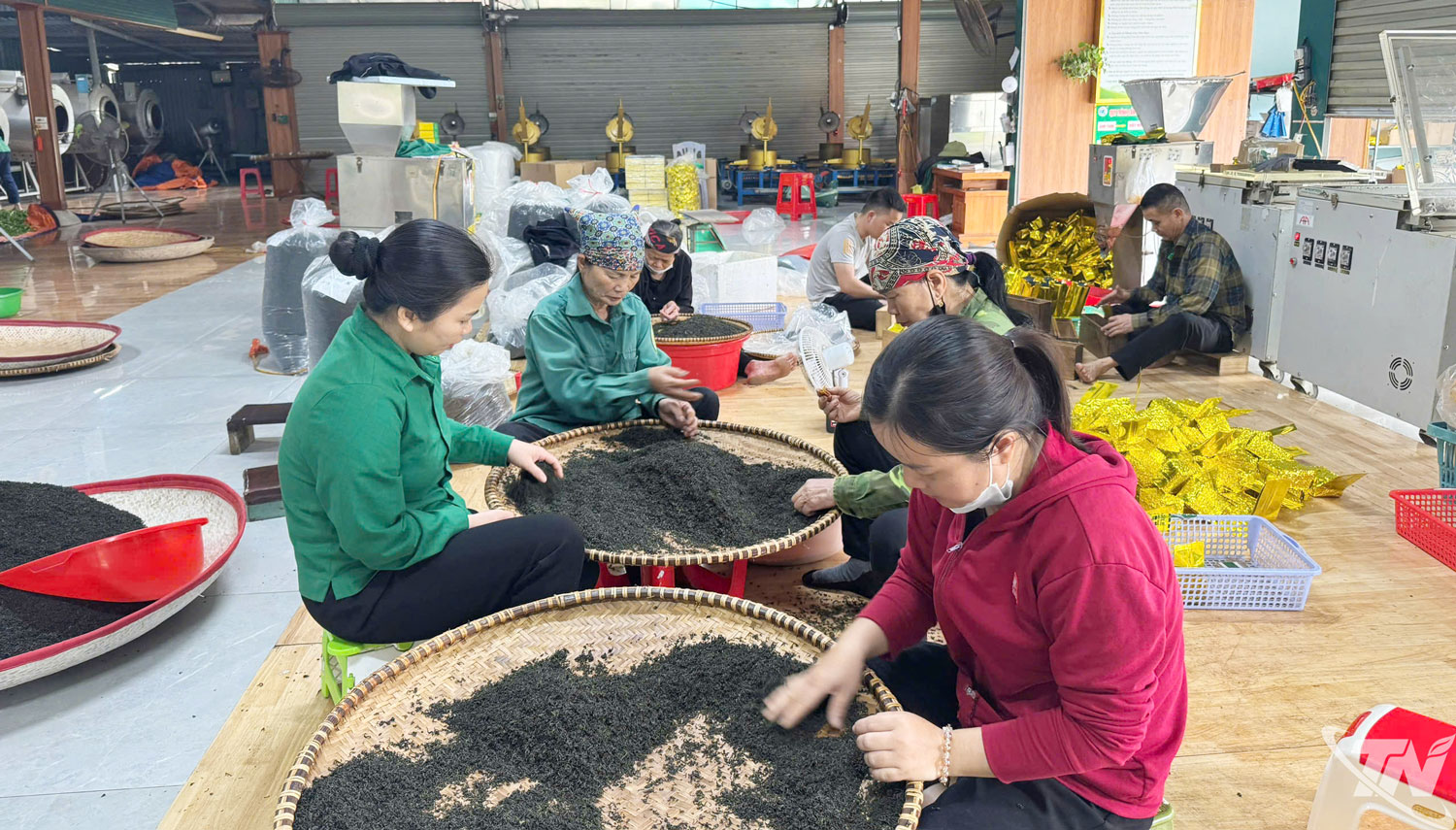 Không gian chế biến chè của các hộ dân ở Thái Nguyên luôn sạch sẽ, đảm bảo an toàn vệ sinh thực phẩm.