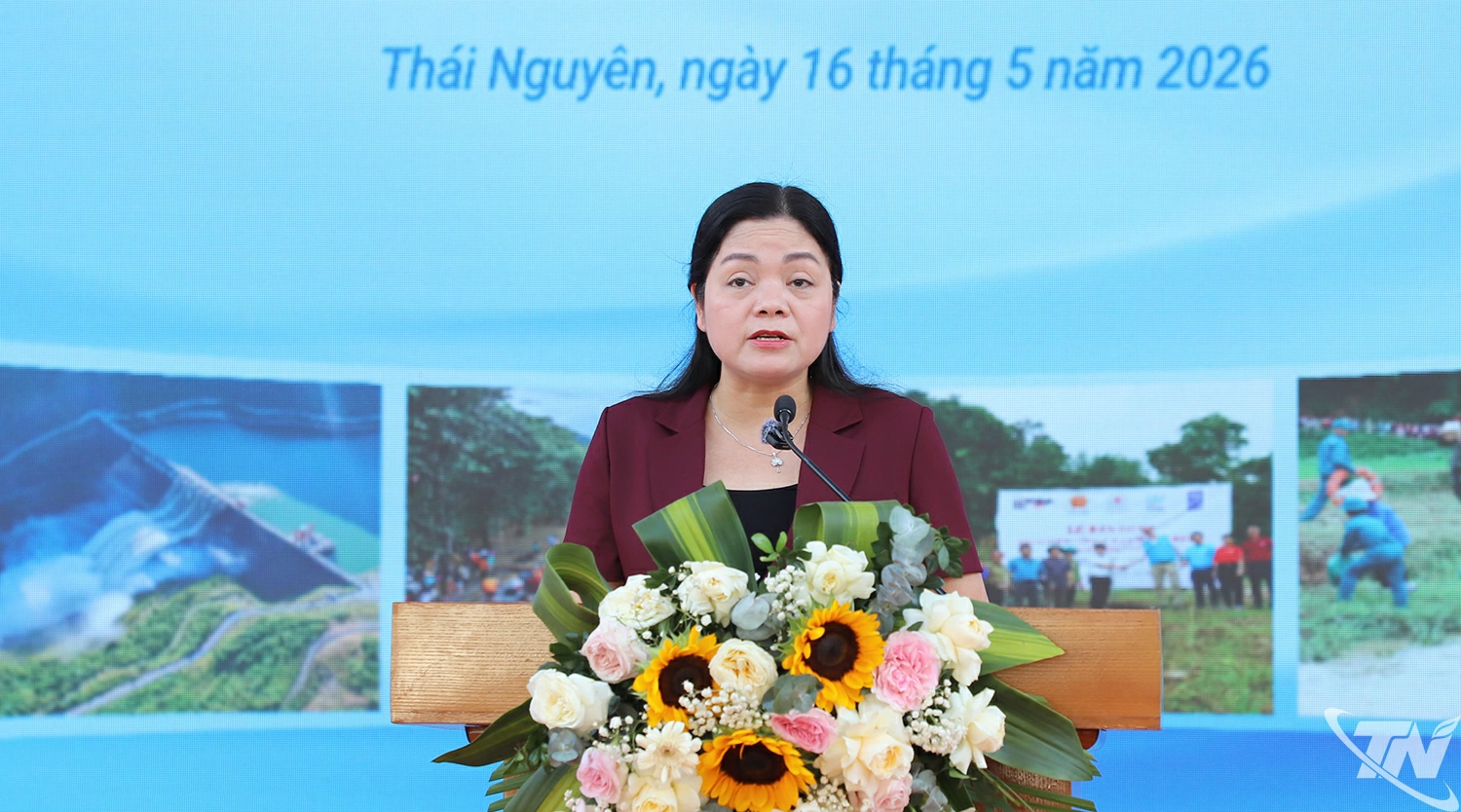 Đồng chí Nguyễn Thị Loan, Phó Chủ tịch UBND tỉnh phát biểu tại Lễ mít tinh.