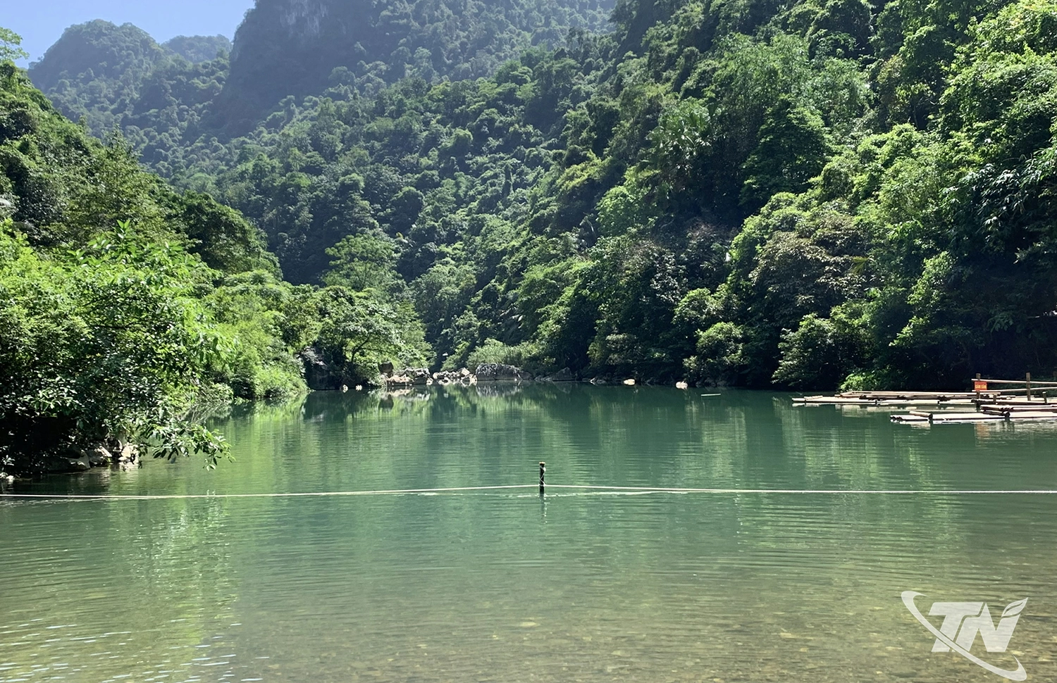 Bảo vệ, giữ gìn môi trường rừng hướng tới phát triển bền vững.