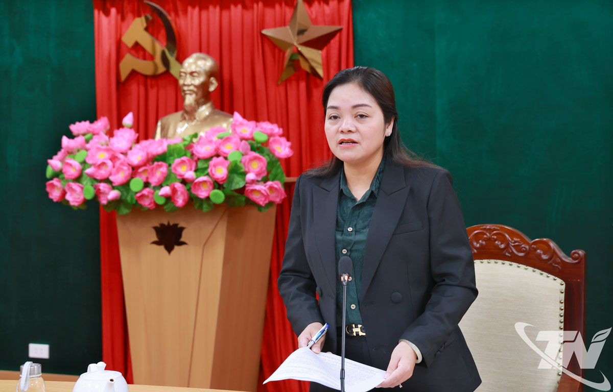 Phó Chủ tịch UBND tỉnh Nguyễn Thị Loan phát biểu chỉ đạo các cơ quan chức năng tại buổi tiếp công dân