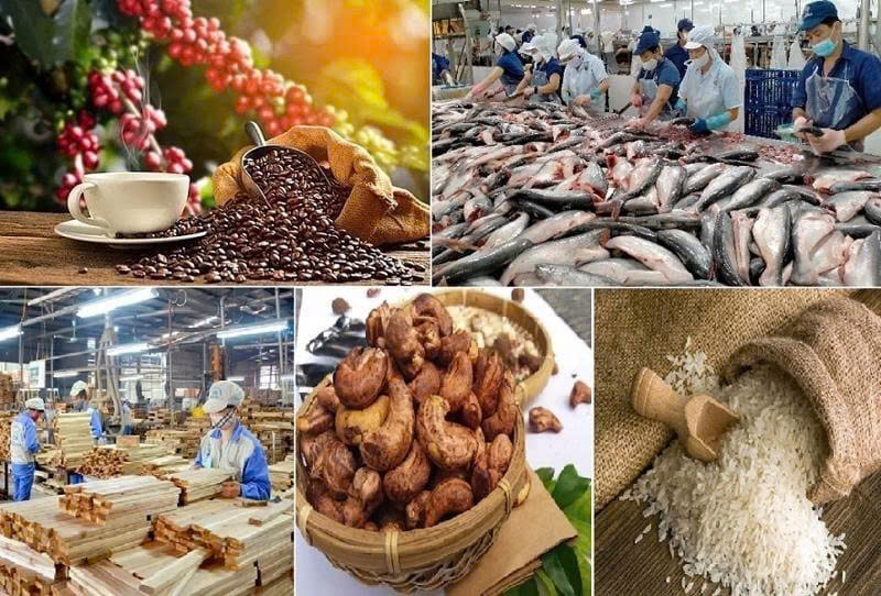 GDP khu vực nông, lâm nghiệp và thủy sản ước tính 7 tháng đầu năm, xuất khẩu đạt 42,8 tỷ USD, tăng 7,5%.