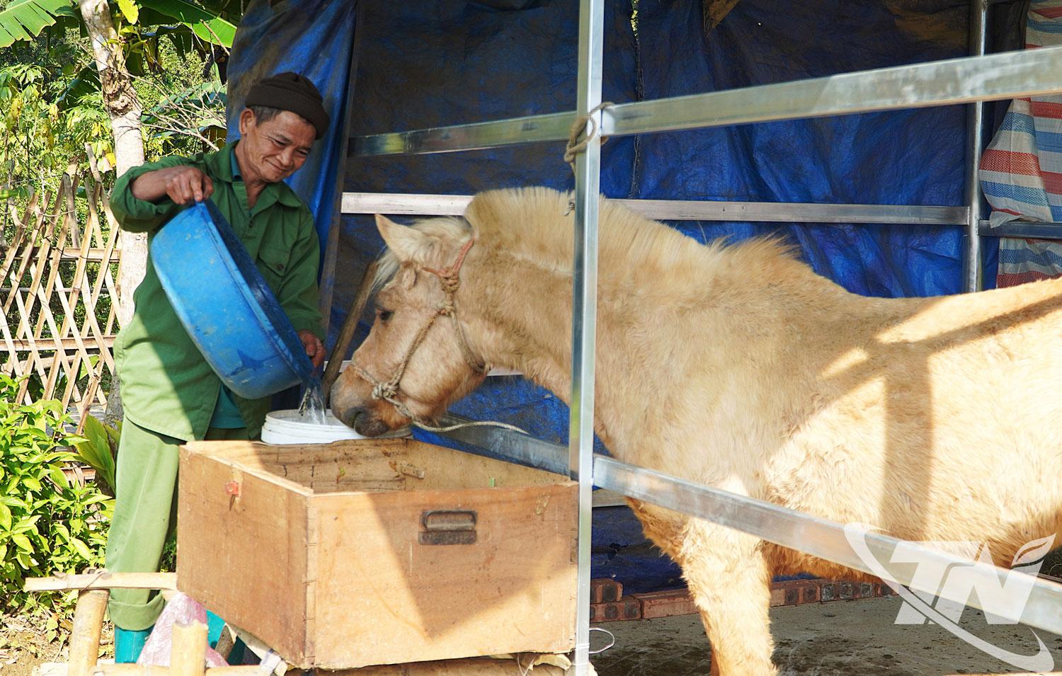 Người d&acirc;n ch&uacute; trọng dự trữ thức ăn th&ocirc;, bổ sung nước ấm v&agrave; thức ăn tinh để tăng sức đề kh&aacute;ng cho gia s&uacute;c trong những ng&agrave;y gi&aacute; r&eacute;t.