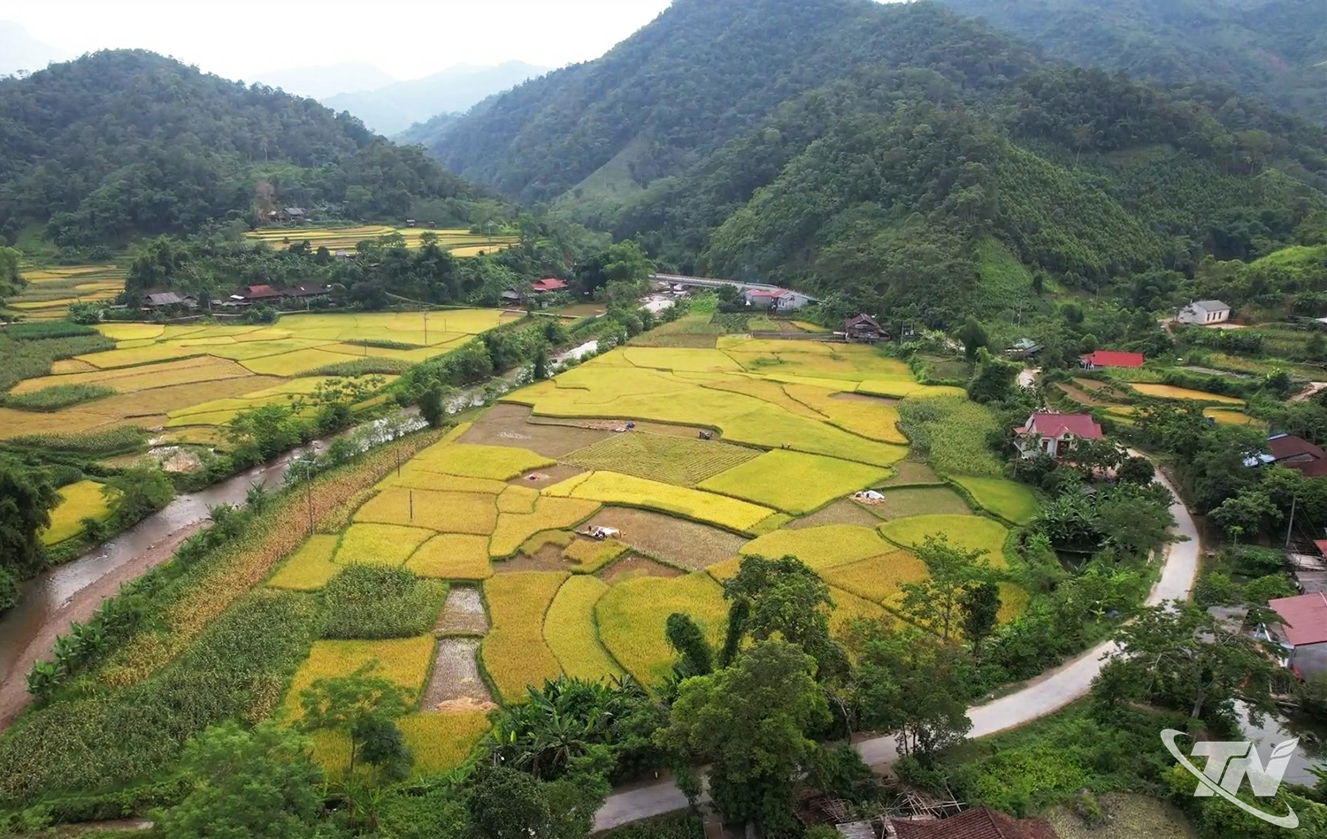 Bằng Thành mùa lúa chín.