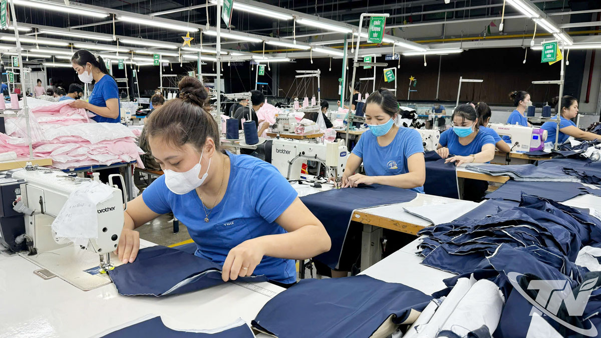 11 tháng năm 2025, ngành may mặc tăng trưởng 8,12% so với cùng kỳ, mức tăng cao nhất trong 4 năm trở lại đây.