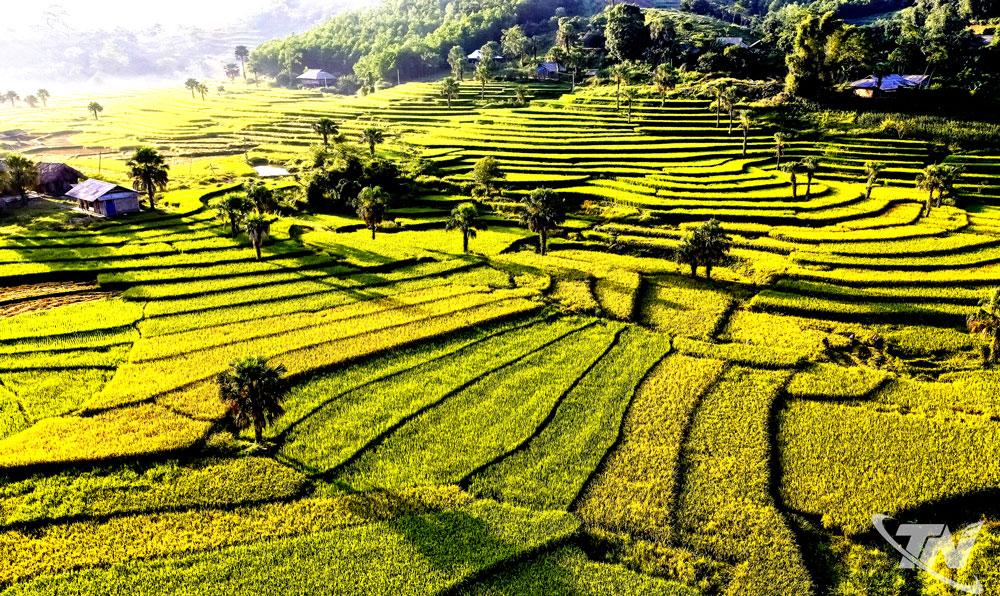 Mùa lúa chín ở các bản làng vùng cao trong tỉnh là tiềm năng, thế mạnh để Thái Nguyên khai thác phát triển du lịch sinh thái.