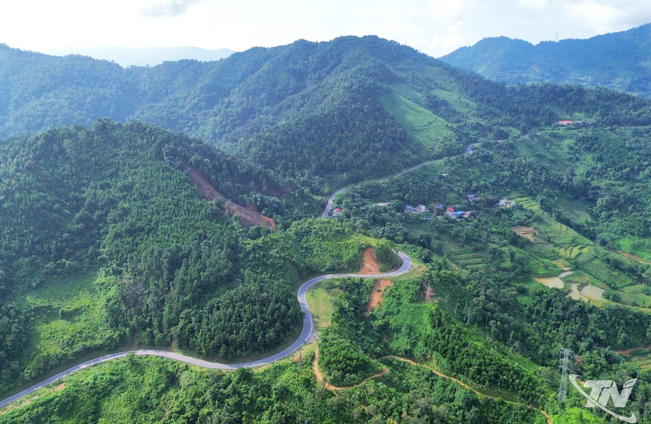 Với khoảng 100.000ha rừng trồng, phía Bắc Thái Nguyên sở hữu nguồn nguyên liệu lớn, tạo lợi thế thu hút các dự án chế biến gỗ công nghiệp.
