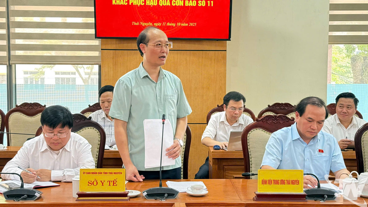 Giám đốc sở Y tế Đặng Văn Huy báo cáo về công tác, chống dịch bệnh và bảo đảm an toàn sức khỏe nhân dân trong mùa mưa lũ.