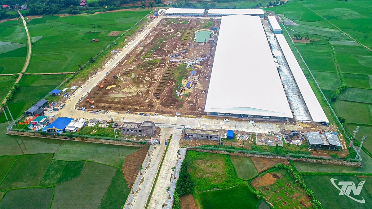 Nhà máy may Thagaco Smart Green Định Hóa được triển khai trên diện tích gần 8ha tại Cụm công nghiệp Tân Dương, xã Phượng Tiến, tỉnh Thái Nguyên