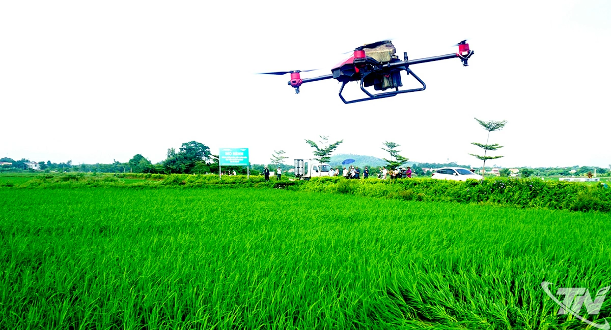 C&aacute;c HTX n&ocirc;ng nghiệp tr&ecirc;n địa b&agrave;n tỉnh ch&uacute; trọng đẩy mạnh ứng dụng khoa học c&ocirc;ng nghệ v&agrave;o sản xuất, n&acirc;ng cao chất lượng sản phẩm, đ&aacute;p ứng y&ecirc;u cầu hội nhập.