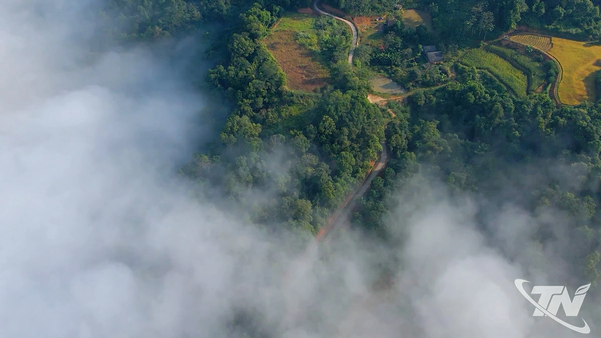 Đường lên Đồn Đèn quanh co dưới làn mây buổi sớm.