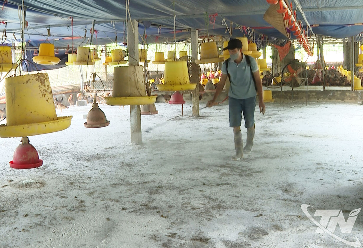 Công tác tiêu trùng, khử độc được thực hiện ngay sau khi nước lũ rút.