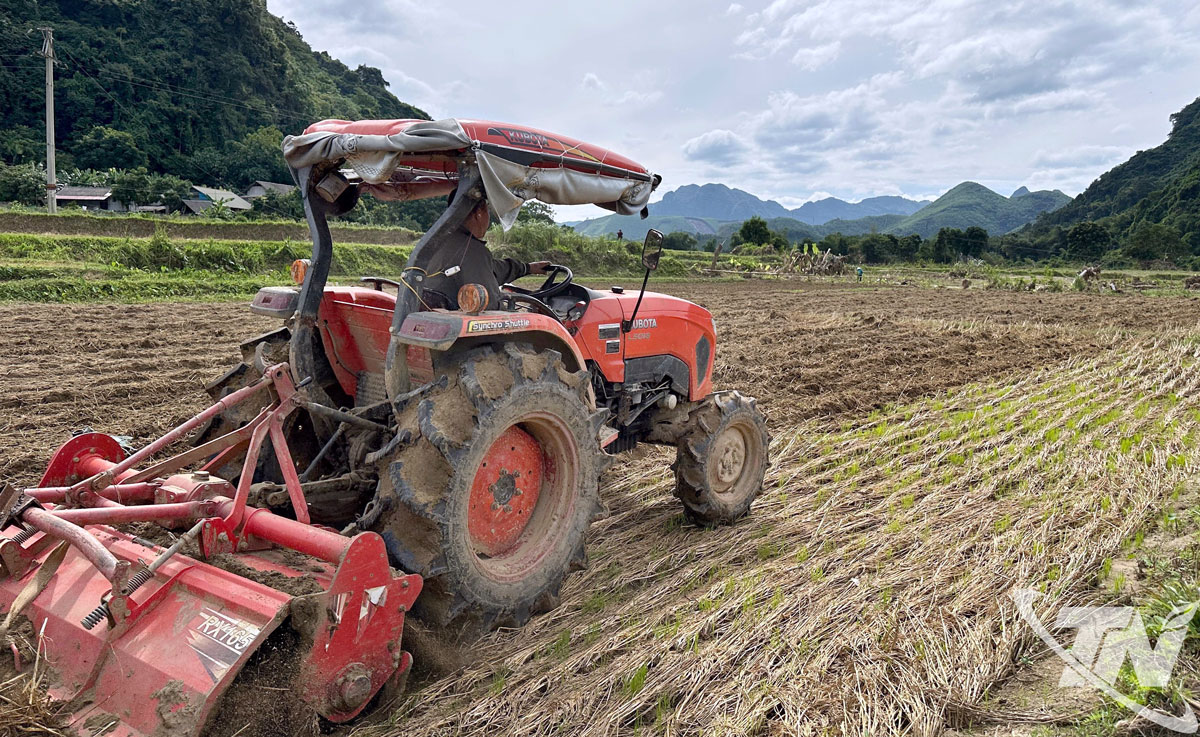 Người dân xã Chợ Mới khẩn trương làm đất, chuẩn bị xuống giống vụ đông